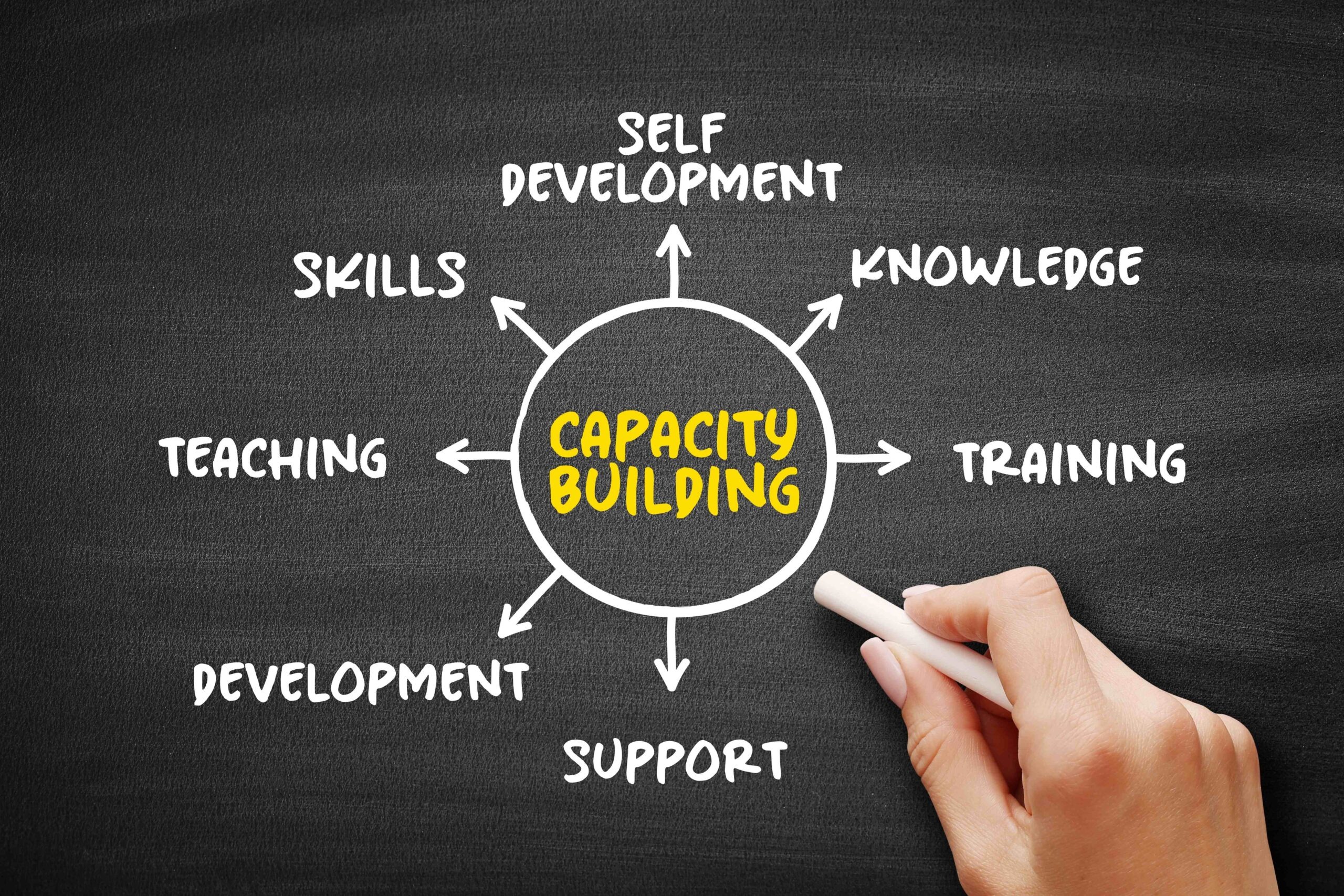Capacity Building